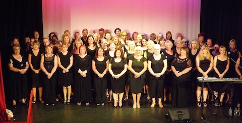 Choir performing at a professional concert in Swansea the previous year