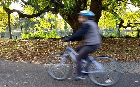 A person rides a bike through a park