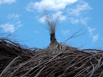 willow structure, weaving 