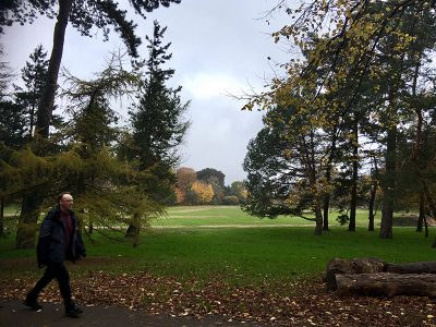 walking, Mindfulness, parks