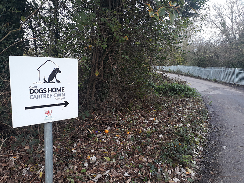 A sign for a dogs home is signalling the way to find it down a road