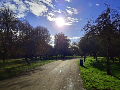 Bute Park, Path, Sunny