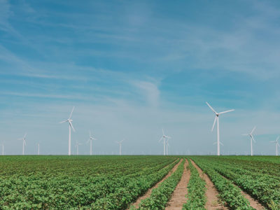 countryside with windmill on a blue sky and vegetables