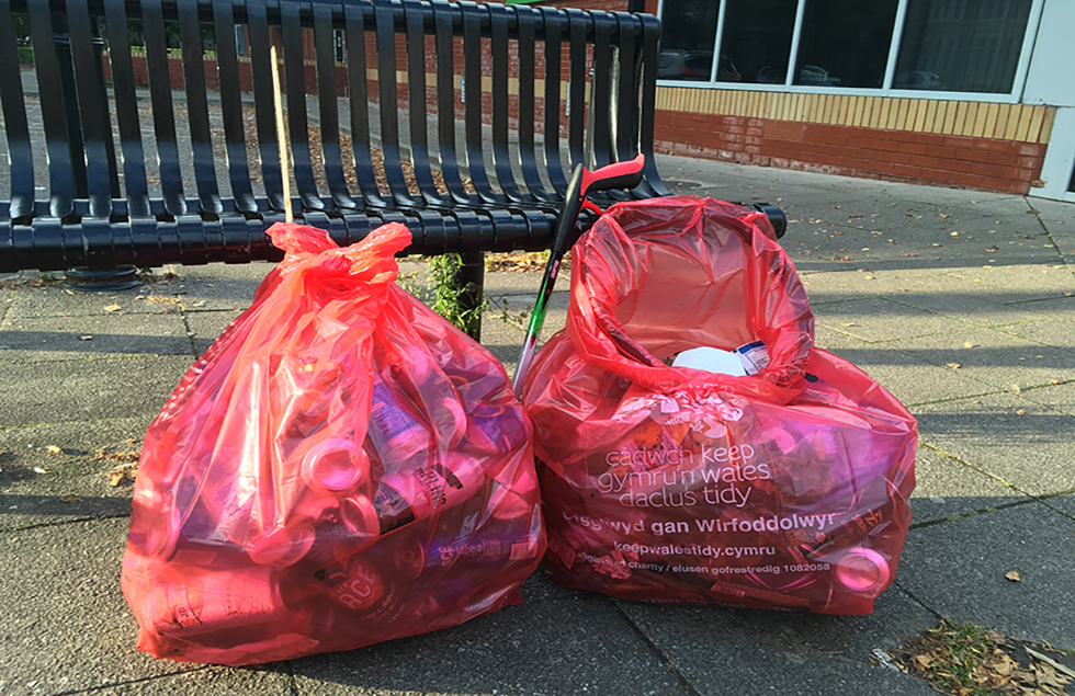 Penylan litter pickers lead the way in cleaning up Cardiff - alt.cardiff