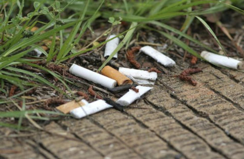 Cigarette litter is a hazard to our environment, with trillions of cigarette butts tossed out every year worldwide