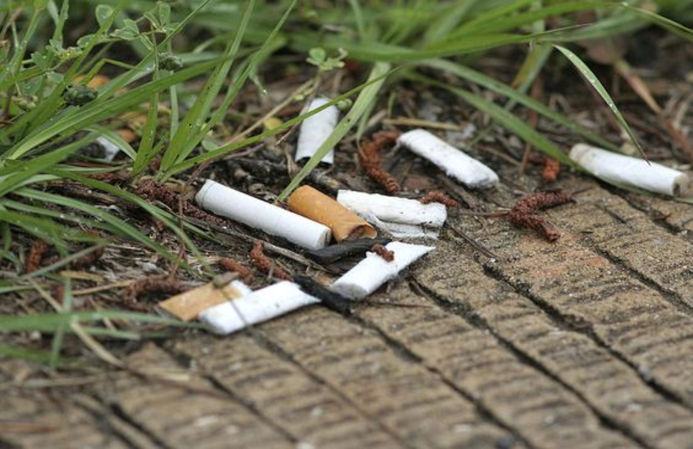 Cigarette litter is a hazard to our environment, with trillions of cigarette butts tossed out every year worldwide 