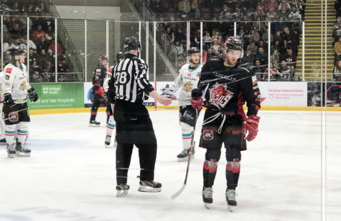 Cardiff Devils playing at Viola Arena against the Belfast Giants