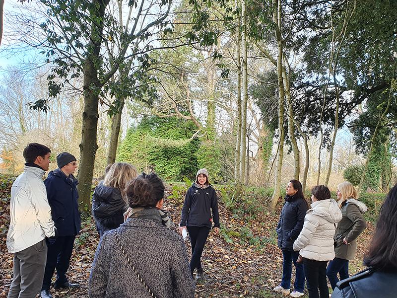 Introductory walk for mental health in workplace event