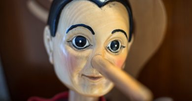 Close-up portrait of Pinocchio