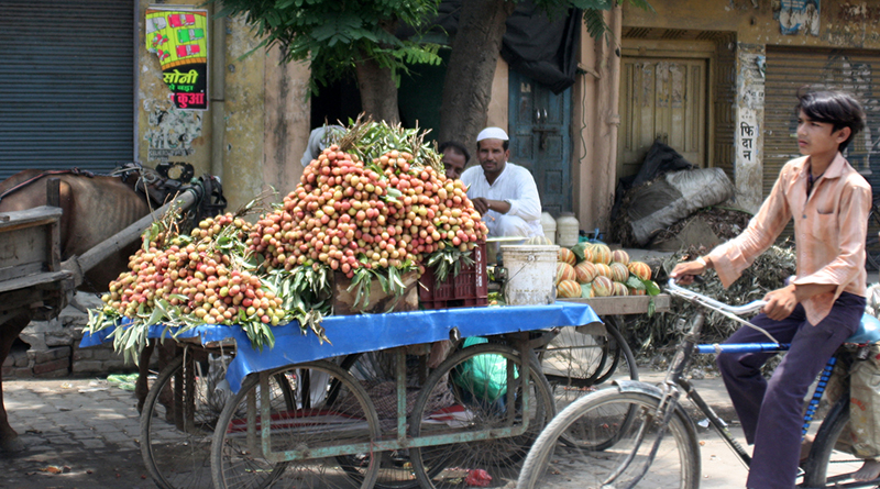 Street Food Shop on Hosur Road, Bangalore, India